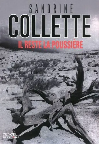 Couverture du livre: Il reste la poussière